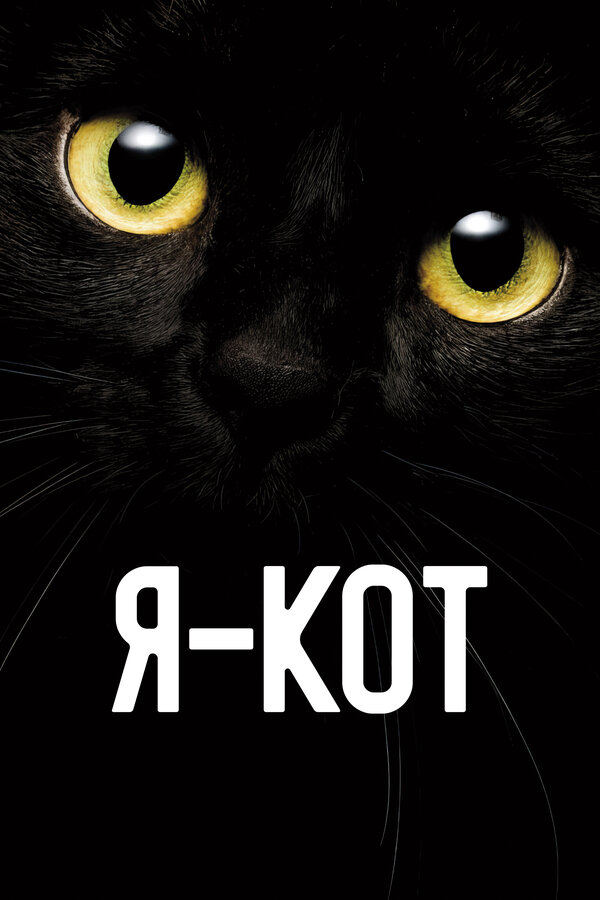 Я — кот сериал 2023 смотреть онлайн бесплатно в хорошем качестве HD